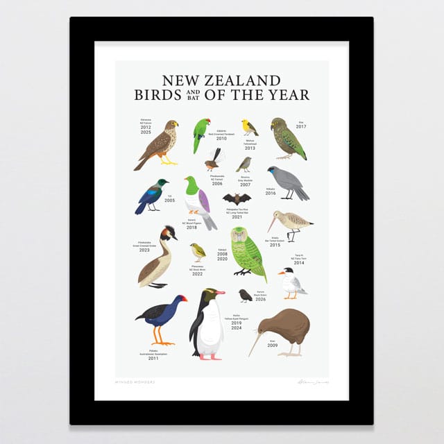 Glenn Jones Art Winged Wonders Art Print Art Print A4 / Black