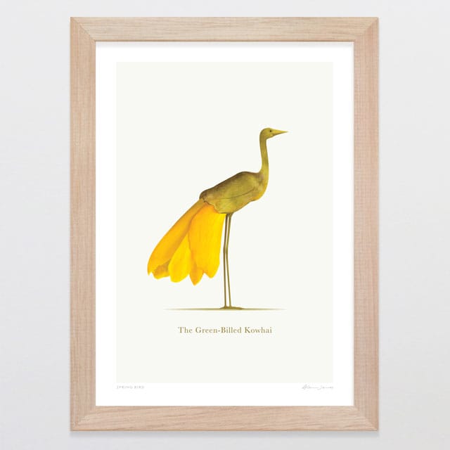 Glenn Jones Art Spring Bird Art Print A4 / Oak