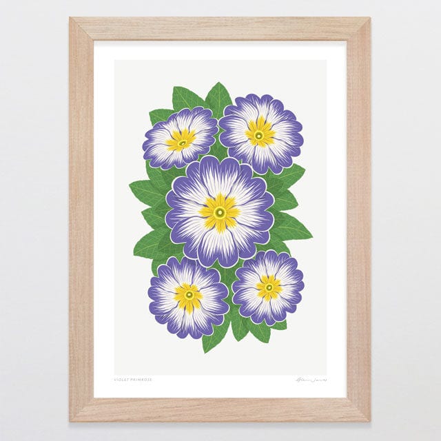 Glenn Jones Art Violet Primrose Art Print Art Print A4 / Oak