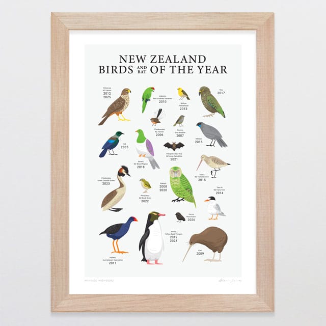 Glenn Jones Art Winged Wonders Art Print Art Print A4 / Oak