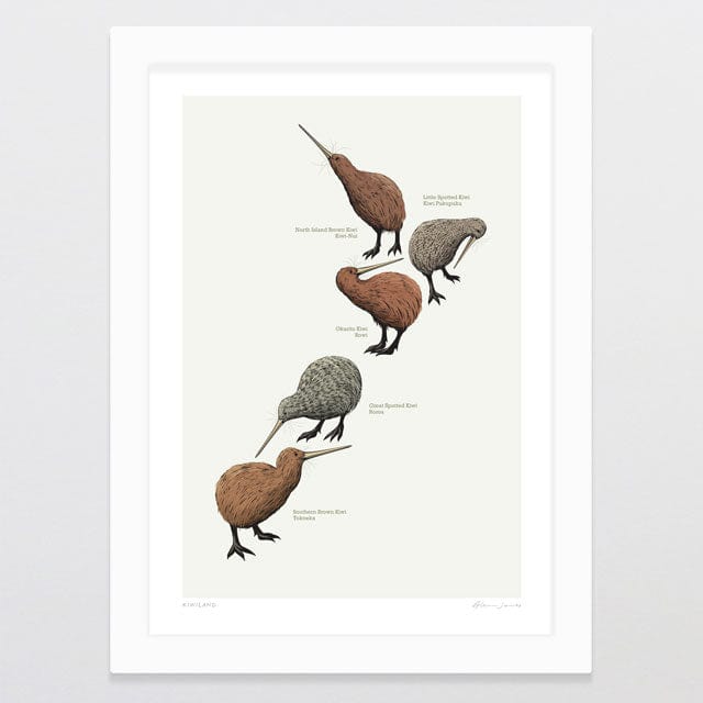 Glenn Jones Art Kiwi Land Art Print A4 / White