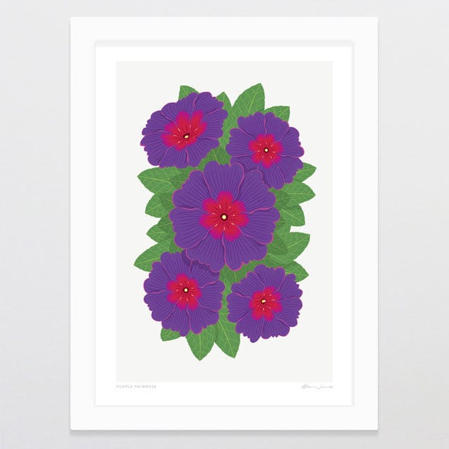 Glenn Jones Art Purple Primrose Art Print Art Print A4 / White