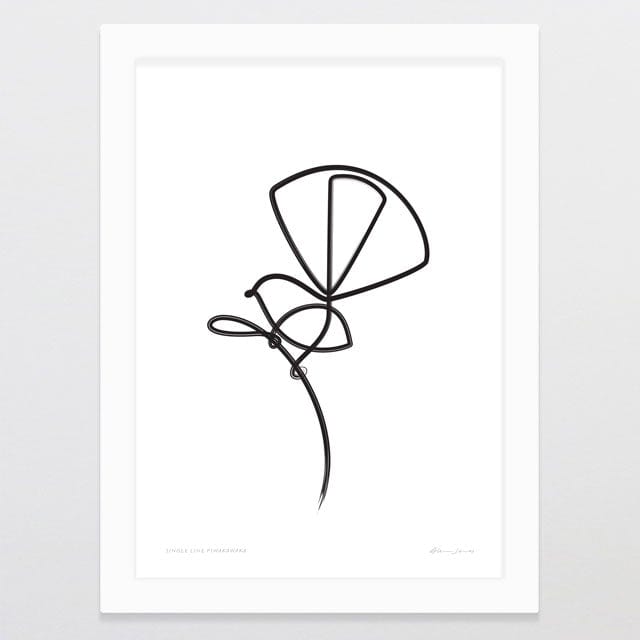 Glenn Jones Art Single Line Piwakawaka Art Print Art Print A4 / White