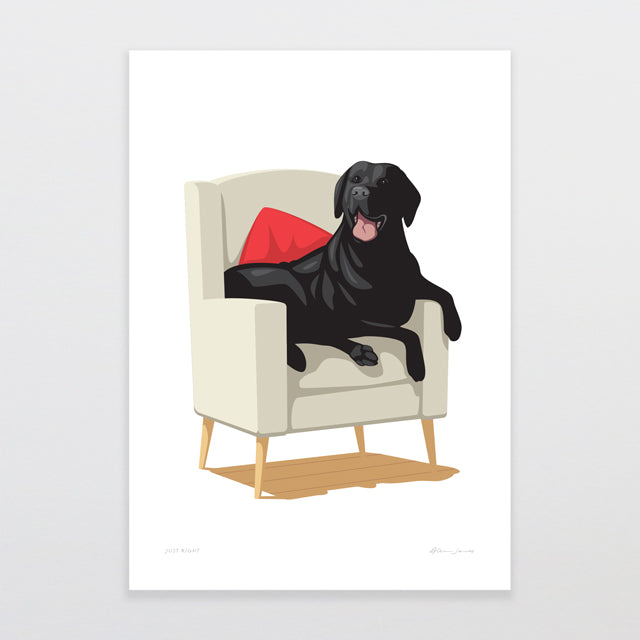 Animal Art Print Collection