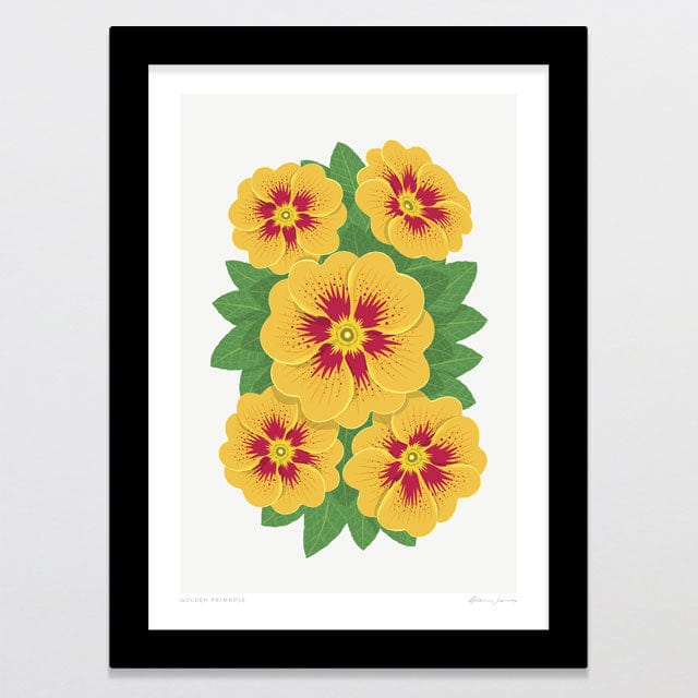Glenn Jones Art Golden Primrose Art Print Art Print A4 / Black