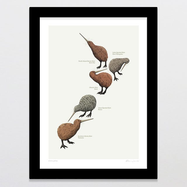 Glenn Jones Art Kiwi Land Art Print A4 / Black