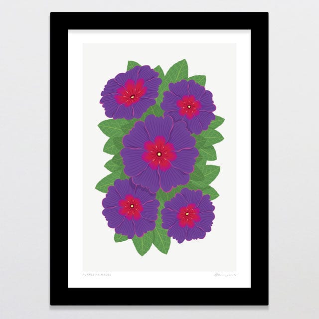 Glenn Jones Art Purple Primrose Art Print Art Print A4 / Black