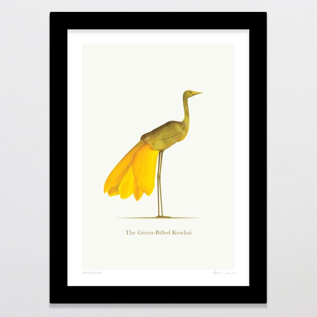 Glenn Jones Art Spring Bird Art Print A4 / Black