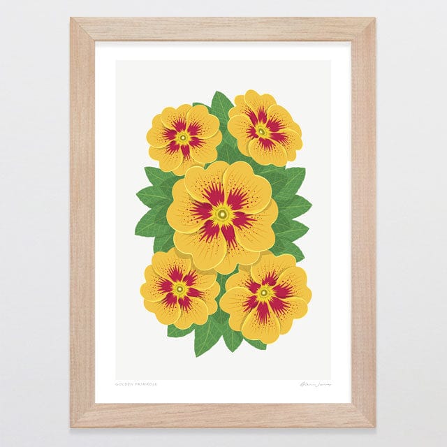 Glenn Jones Art Golden Primrose Art Print Art Print A4 / Oak
