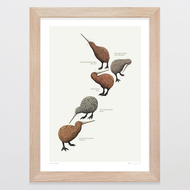 Glenn Jones Art Kiwi Land Art Print A4 / Oak