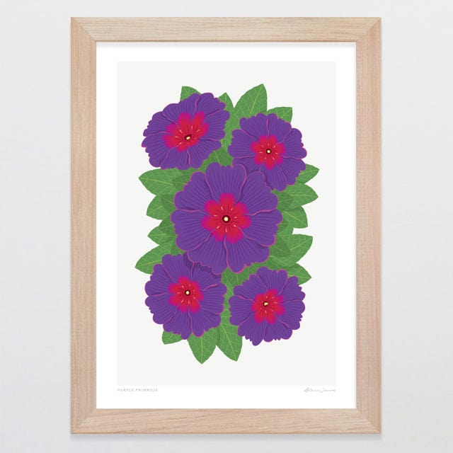 Glenn Jones Art Purple Primrose Art Print Art Print A4 / Oak