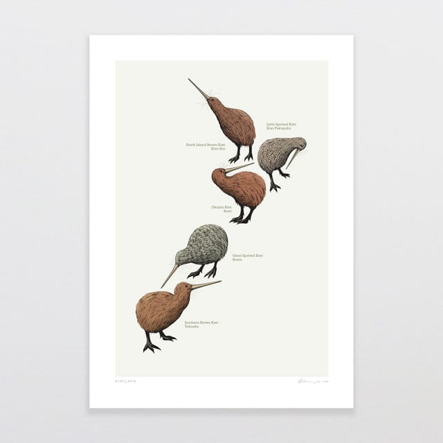 Glenn Jones Art Kiwi Land Art Print A4 / Unframed