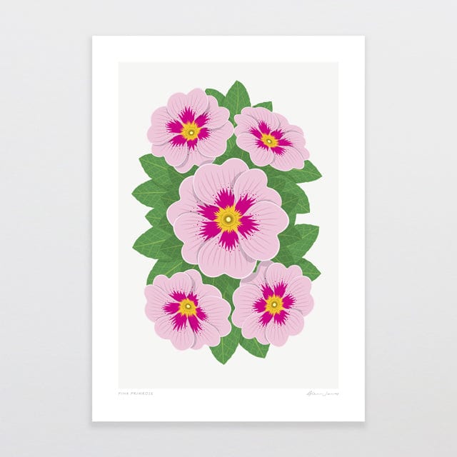 Glenn Jones Art Pink Primrose Art Print Art Print A4 / Unframed