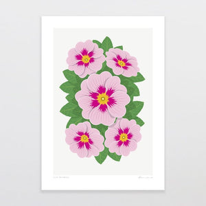 Glenn Jones Art Pink Primrose Art Print Art Print A4 / Unframed
