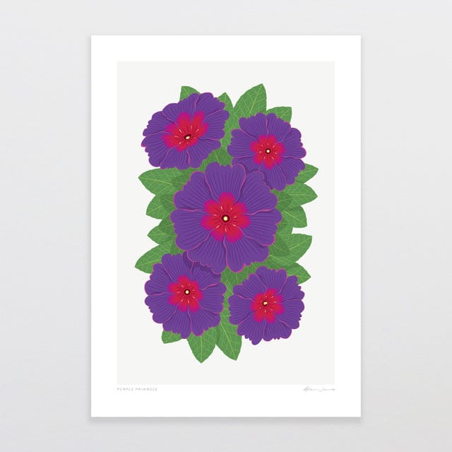 Glenn Jones Art Purple Primrose Art Print Art Print A4 / Unframed