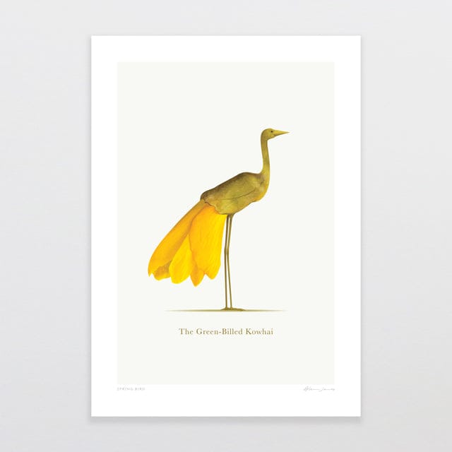 Glenn Jones Art Spring Bird Art Print A4 / Unframed