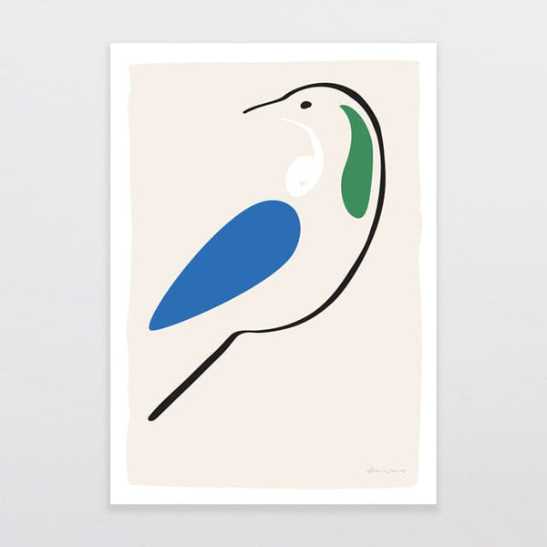 絵画 bird King of Saxony Bird of Paradise (pteridophora Alberti) - BP