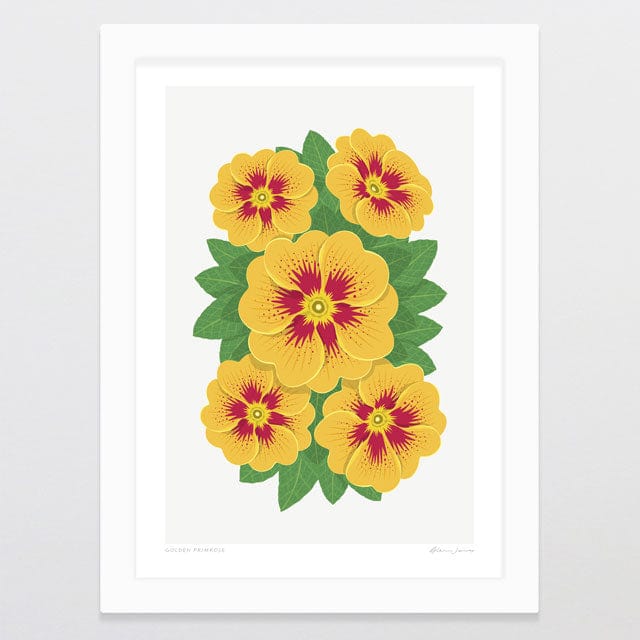Glenn Jones Art Golden Primrose Art Print Art Print A4 / White