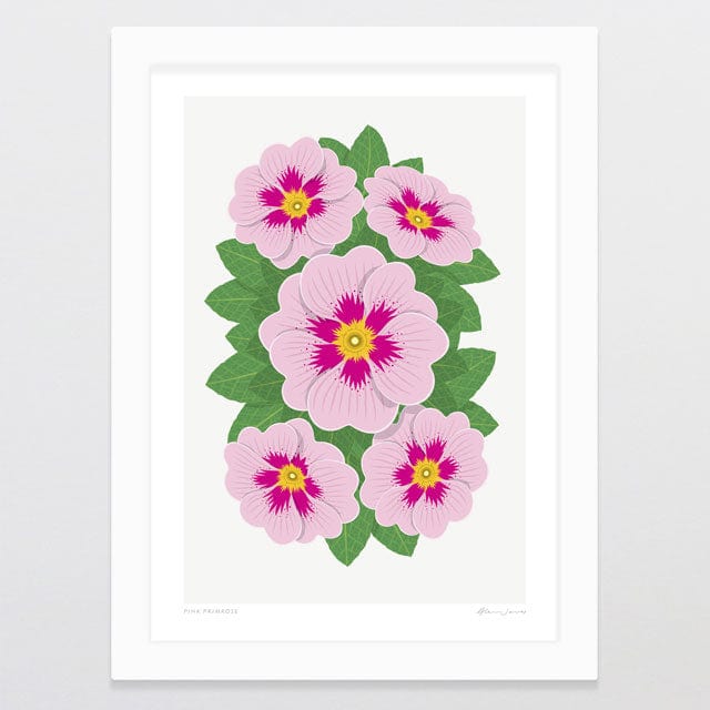 Glenn Jones Art Pink Primrose Art Print Art Print A4 / White