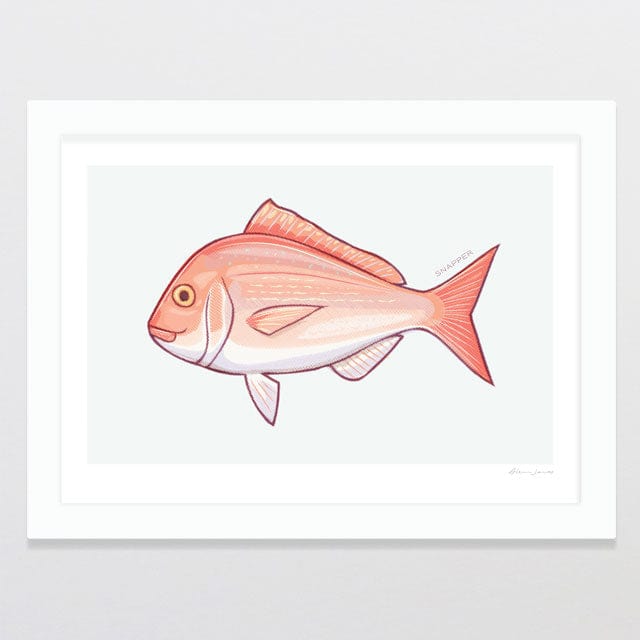 Snapper Art Print by NZ Artist Glenn Jones - Glenn Jones Art