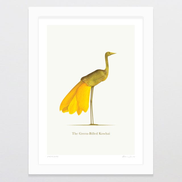 Glenn Jones Art Spring Bird Art Print A4 / White