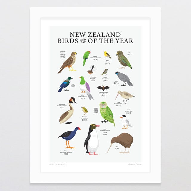 Glenn Jones Art Winged Wonders Art Print Art Print A4 / White