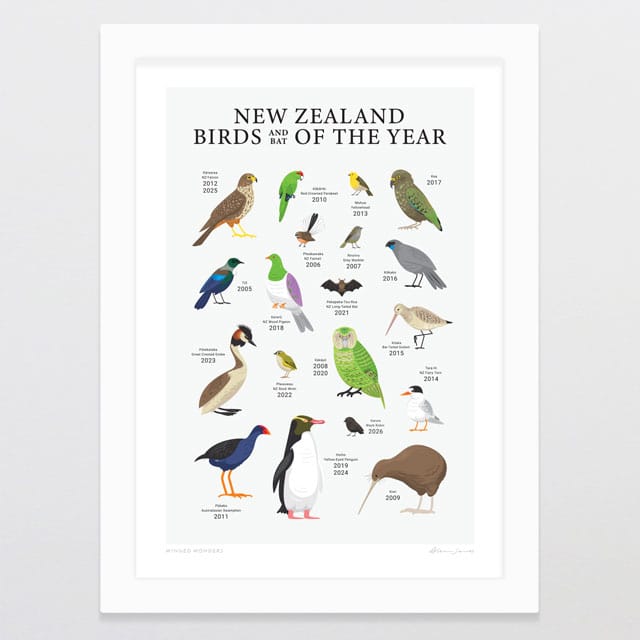 Glenn Jones Art Winged Wonders Art Print Art Print A4 / White