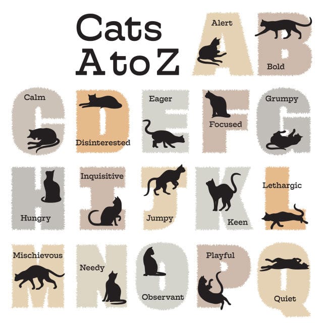 Glenn Jones Art Cat Alphabet Art Print Art Print