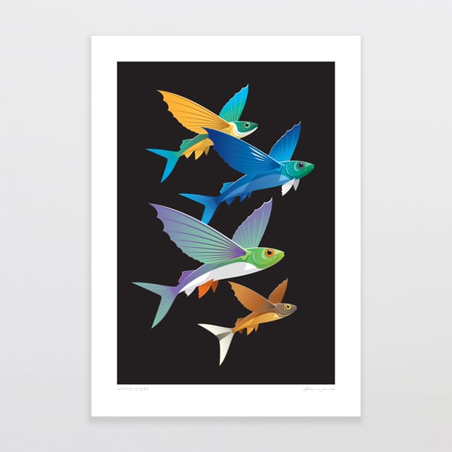 Glenn Jones Art Native Flyers Art Print Art Print