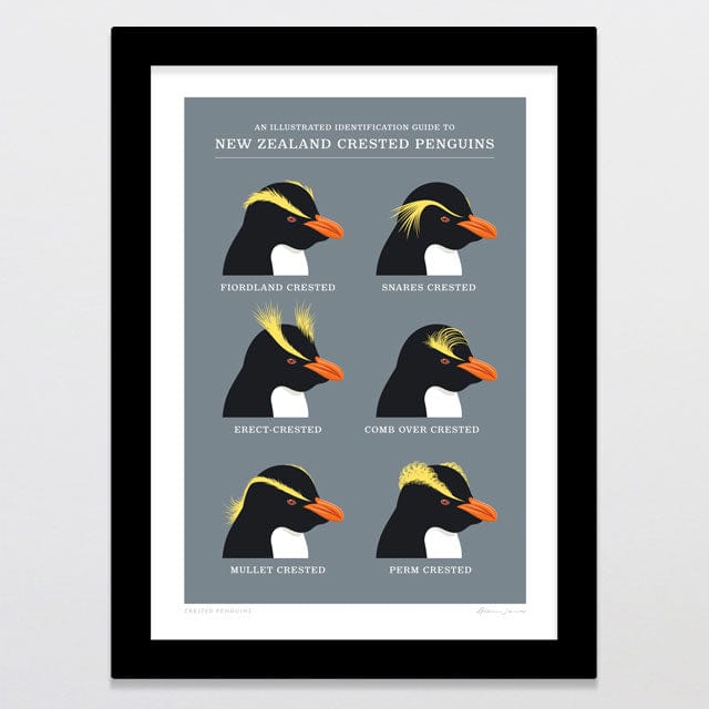 Glenn Jones Art Crested Penguins Art Print Art Print A4 / Black
