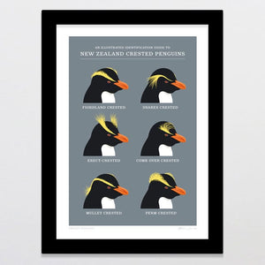 Glenn Jones Art Crested Penguins Art Print Art Print A4 / Black
