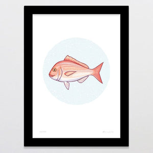 Glenn Jones Art Snapper Art Print Art Print A4 / Black