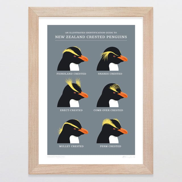 Glenn Jones Art Crested Penguins Art Print Art Print A4 / Oak