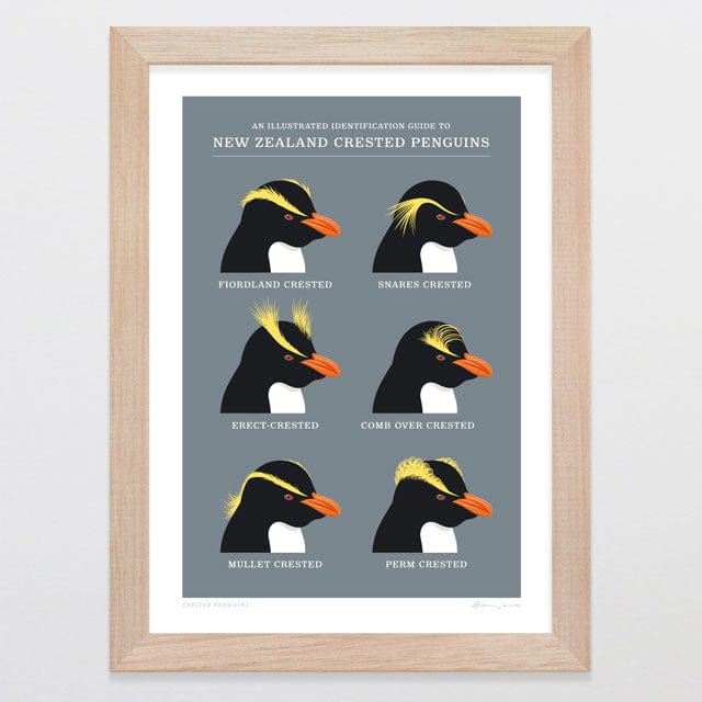 Glenn Jones Art Crested Penguins Art Print Art Print A4 / Oak