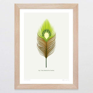 Glenn Jones Art Kiwi Feather Art Print Art Print A4 Print / Raw Oak Frame