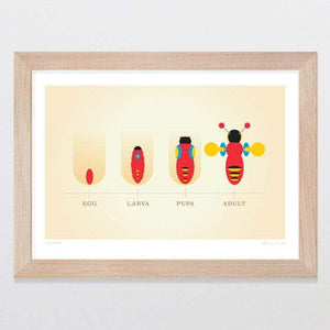Glenn Jones Art Life Cycle Art Print Art Print A4 Print / Raw Oak Frame