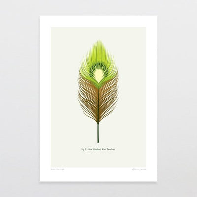 Kiwi Feather Art Print