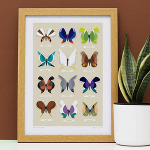 Rare Specimens Art Print-Glenn Jones Art