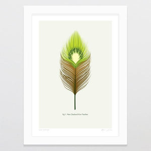 Kiwi Feather Art Print-Glenn Jones Art