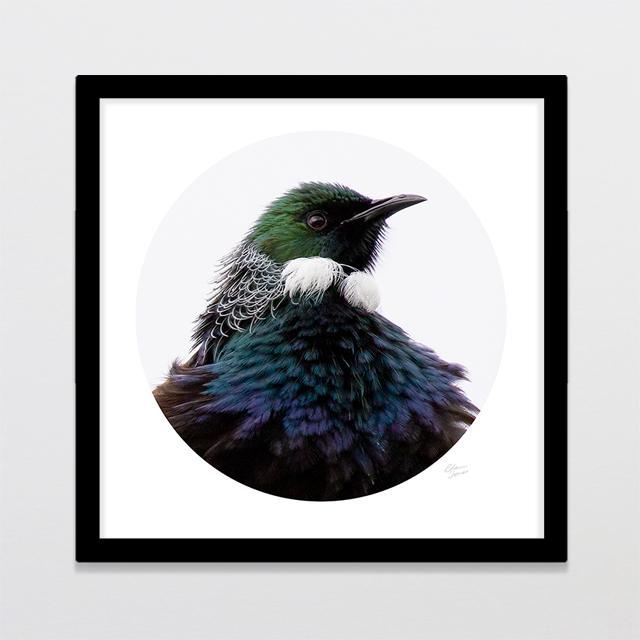 Lord Tui Photo Print-Glenn Jones Art