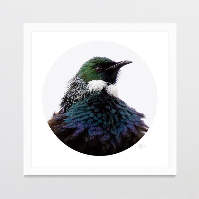 Lord Tui Photo Print-Glenn Jones Art