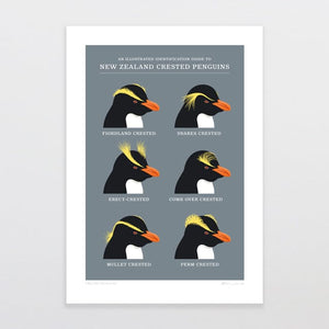 Glenn Jones Art Crested Penguins Art Print Art Print A4 / Unframed