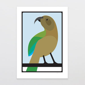 Glenn Jones Art Kea Art Print Art Print A4 / Unframed