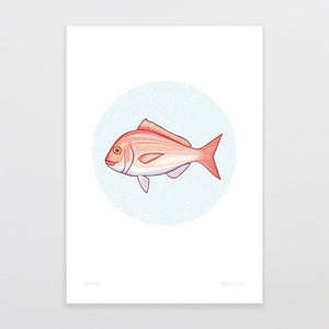 Glenn Jones Art Snapper Art Print Art Print A4 / Unframed