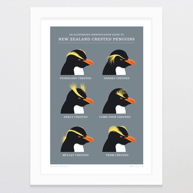 Glenn Jones Art Crested Penguins Art Print Art Print A4 / White