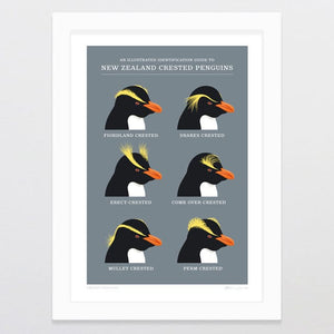 Glenn Jones Art Crested Penguins Art Print Art Print A4 / White