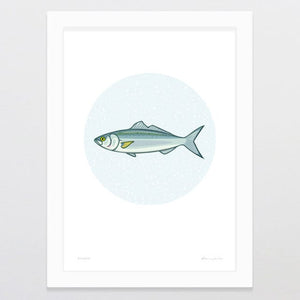Glenn Jones Art Kahawai Art Print Art Print A4 / White
