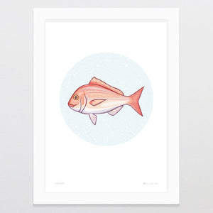 Glenn Jones Art Snapper Art Print Art Print A4 / White