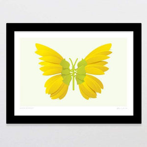 Glenn Jones Art Kowhai Butterfly Art Print Art Print