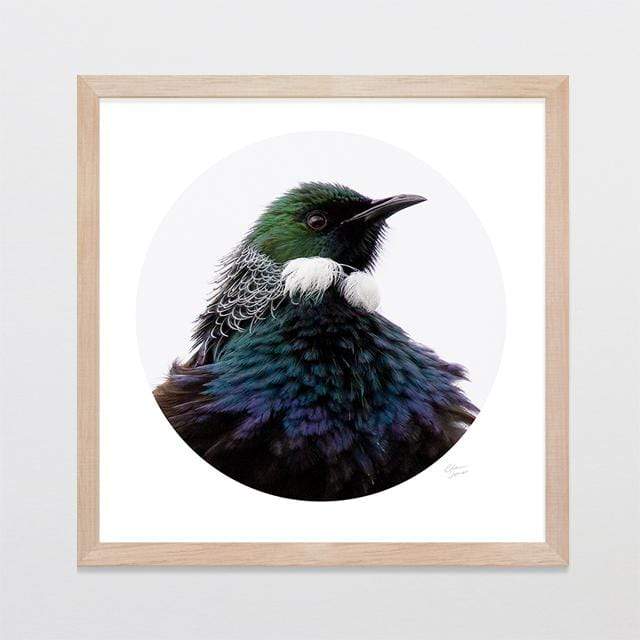 Glenn Jones Art Lord Tui Photo Print Art Print